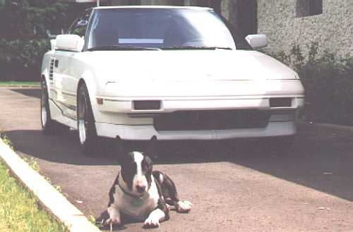 Tommy's car at rest with his guard dog